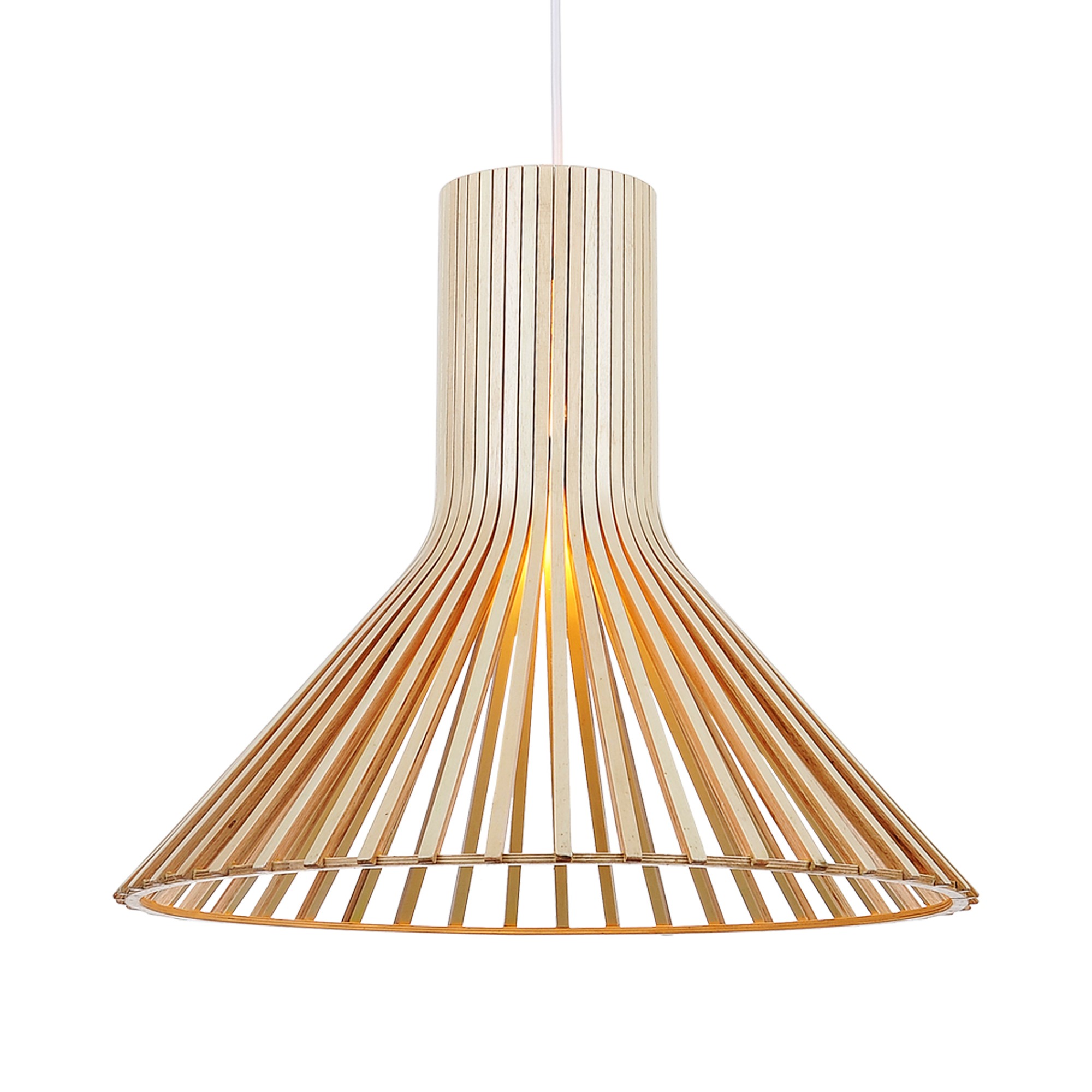 Светильник подвесной ST Luce SL709.773.01