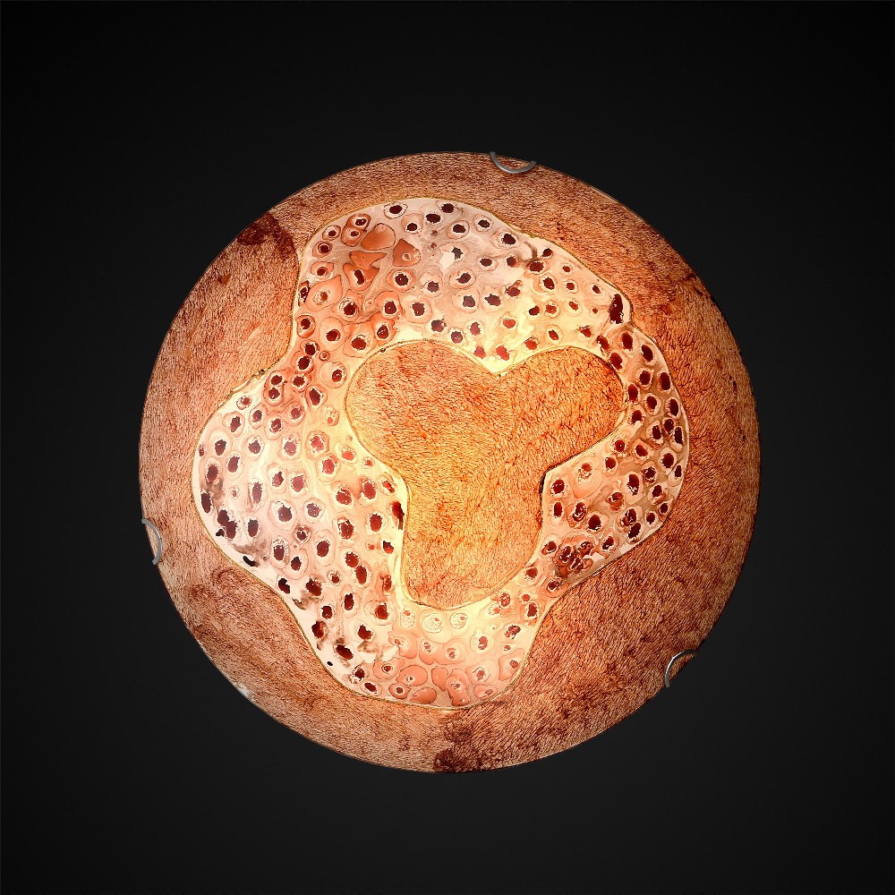 Настенно потолочный светильник Максисвет 1-5730-3-WH E14