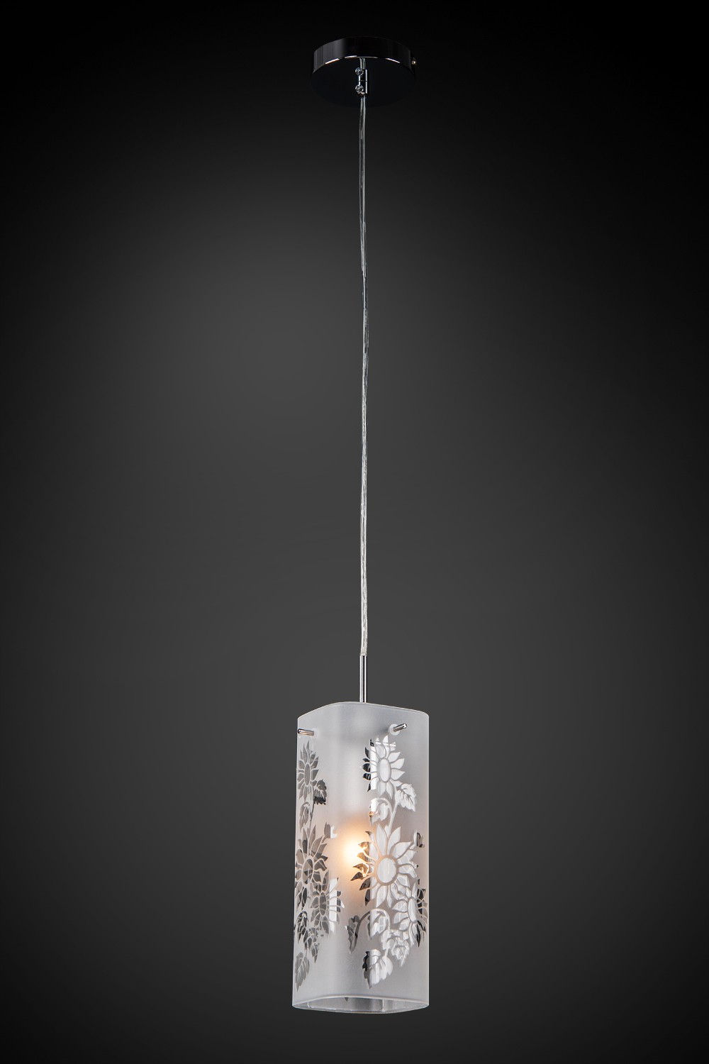 Светильник подвесной Максисвет 2-4880-1-CR E14