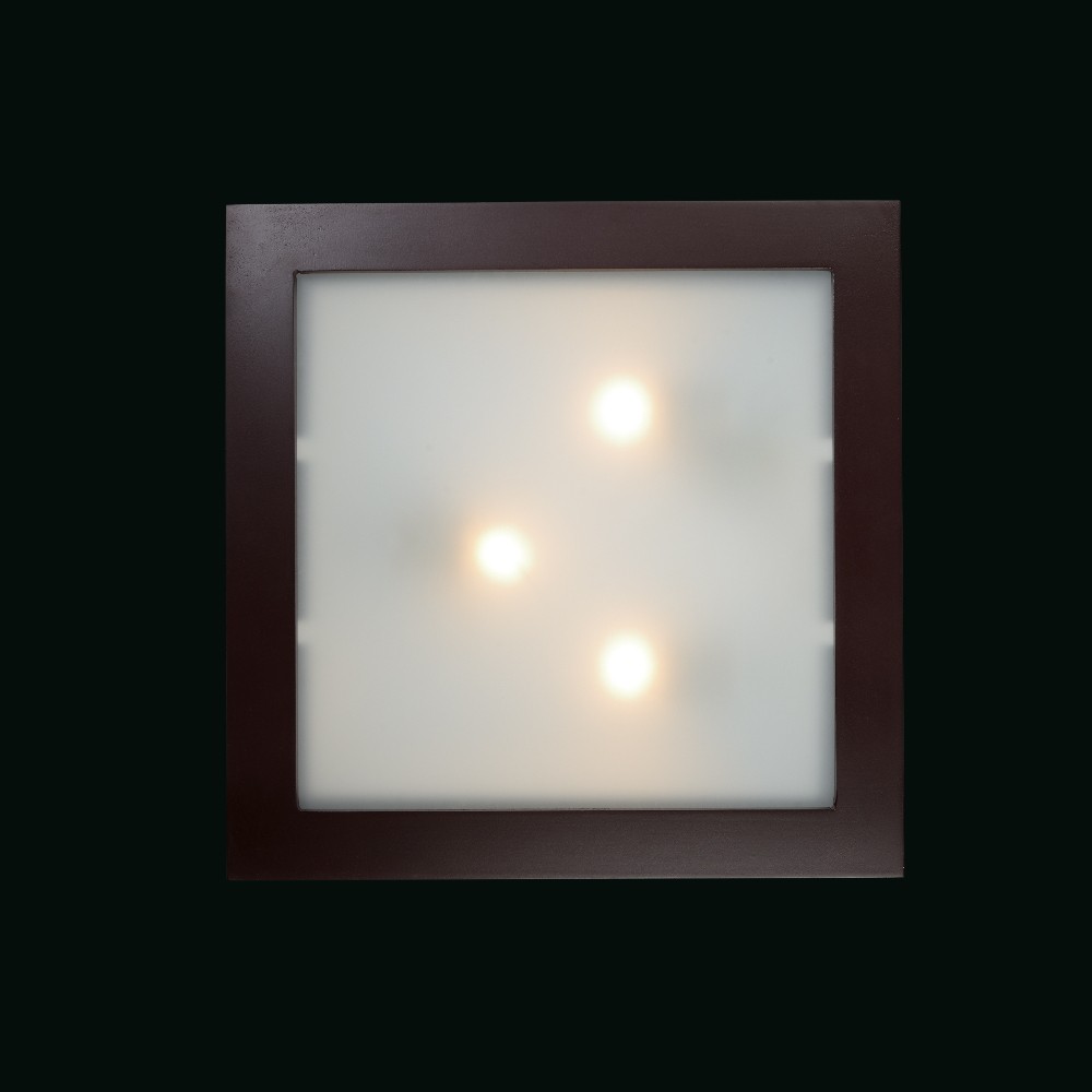 Настенно потолочный светильник Максисвет 1-3155-3-DWE E14