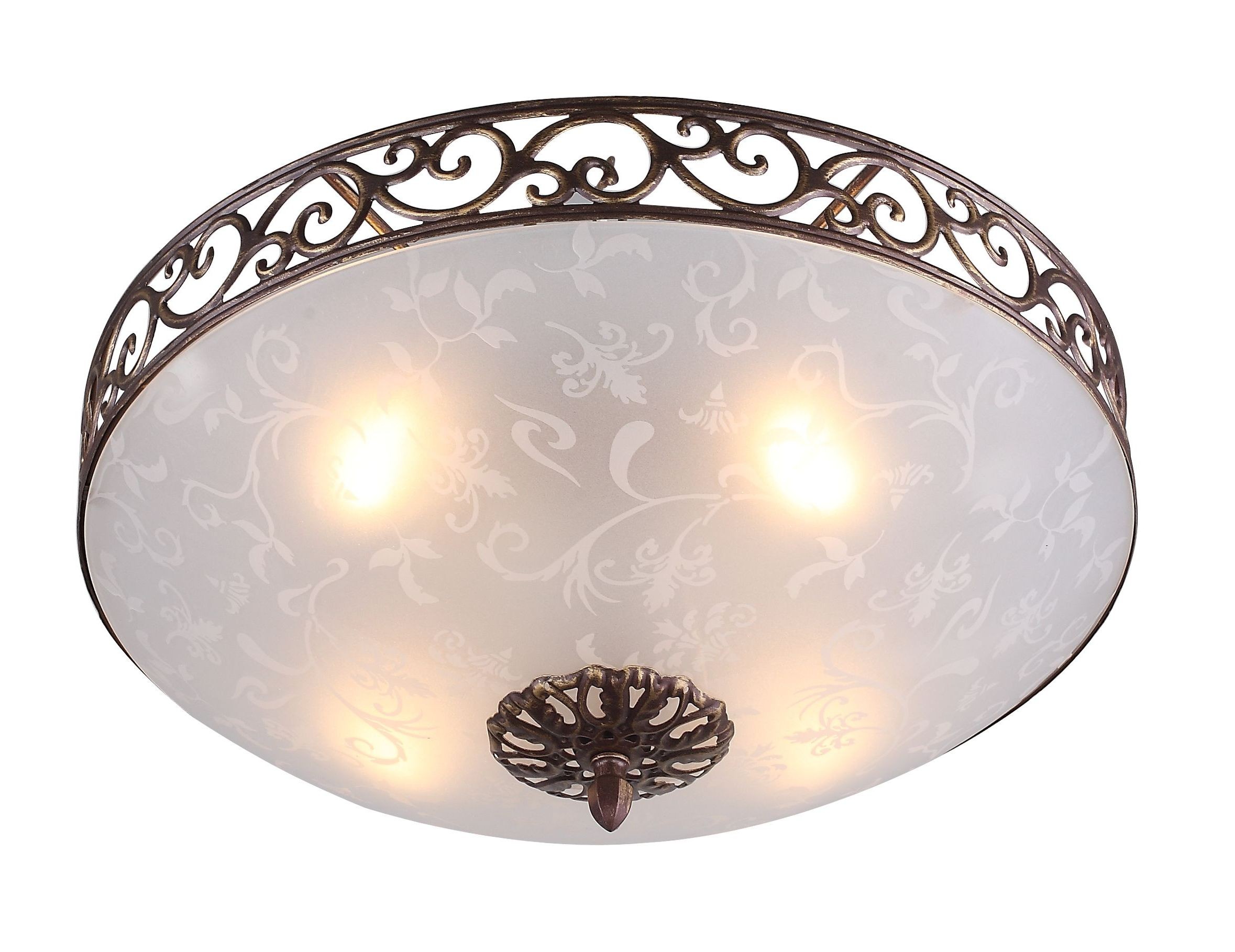 Светильник потолочный ST Luce SL244.202.04