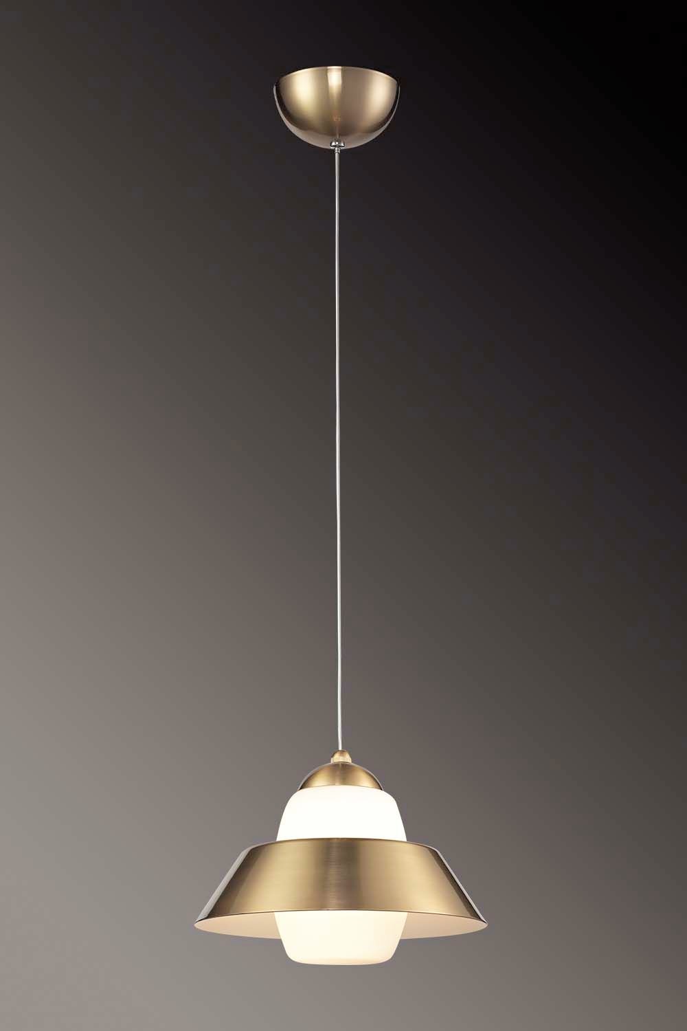 Светильник подвесной ST Luce SL345.313.01