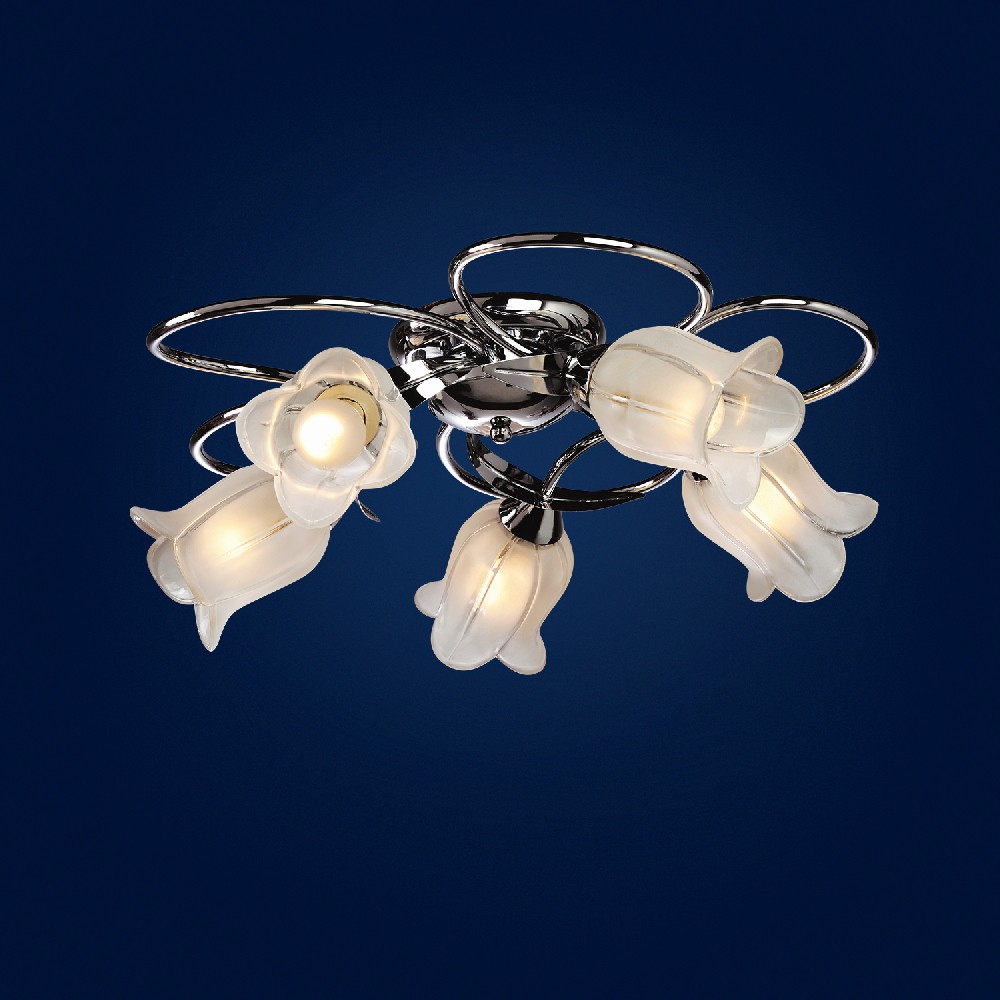 Потолочная люстра Максисвет 0245 1-0245-5-CR E14