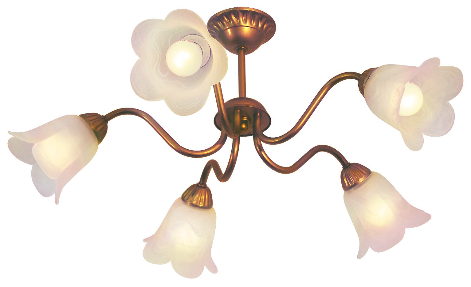 Потолочная люстра Жар Птица Луиза L07P1-05-Z