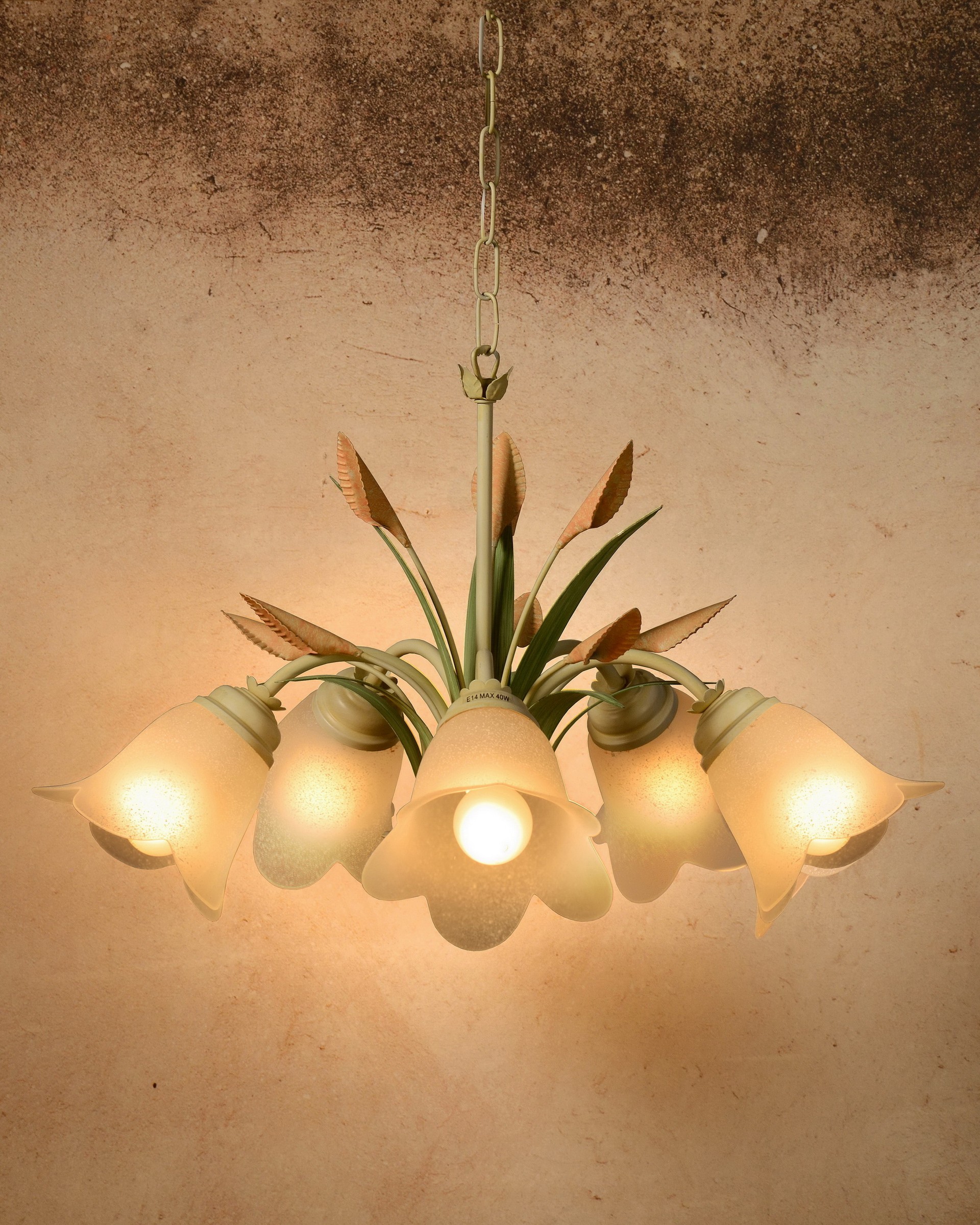 Люстра подвесная с цветочками Izabella 78353/05/38 Lucide