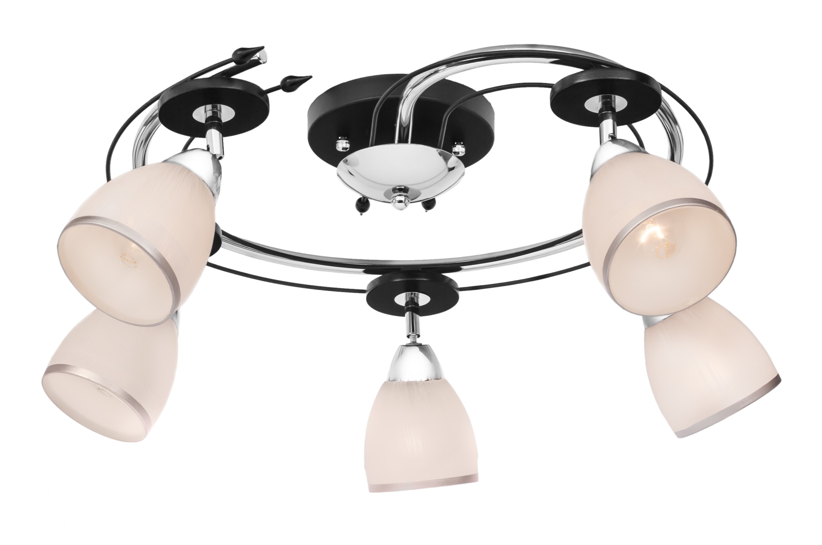 Потолочная люстра SilverLight Austerity 223.59.5