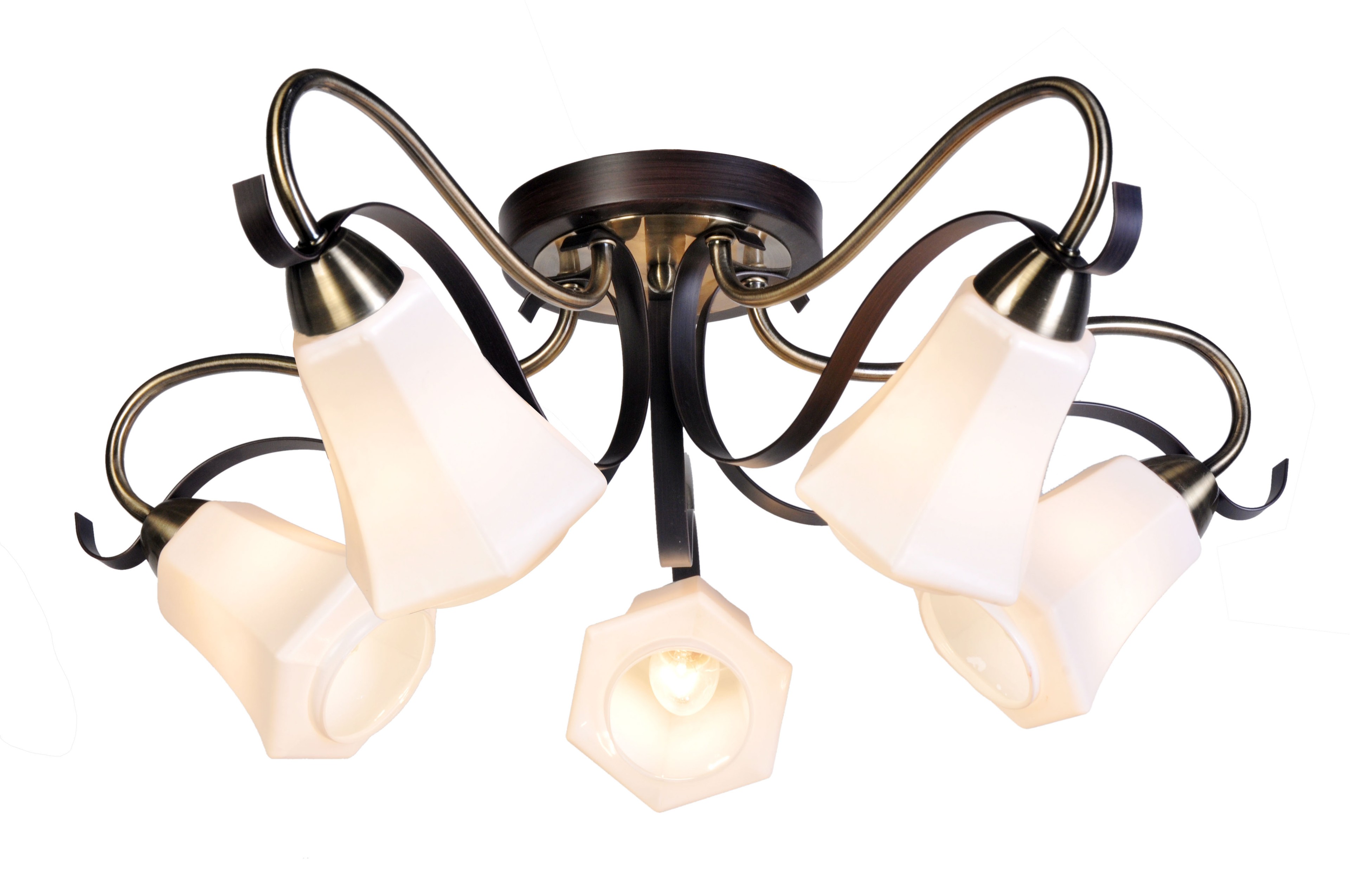 Потолочная люстра SilverLight Merely 225.59.5