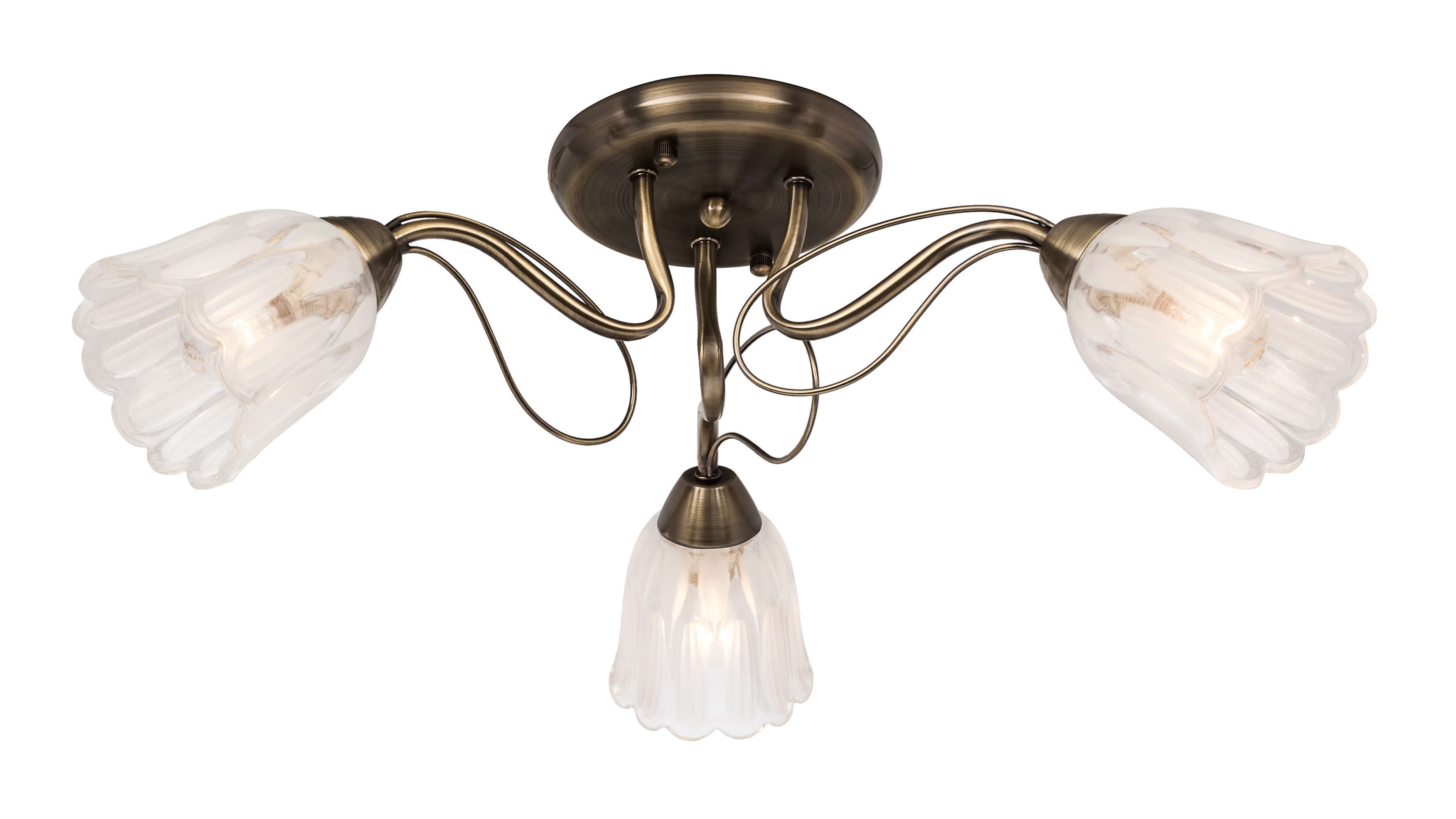 Потолочная люстра SilverLight Azalea 504.53.3