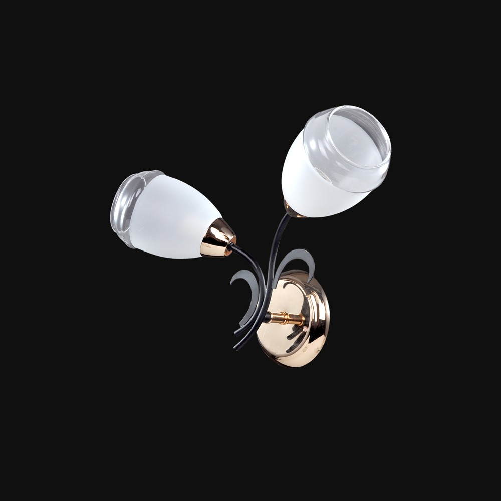 Настенное бра Максисвет 3-8665-2-FG+BK E14