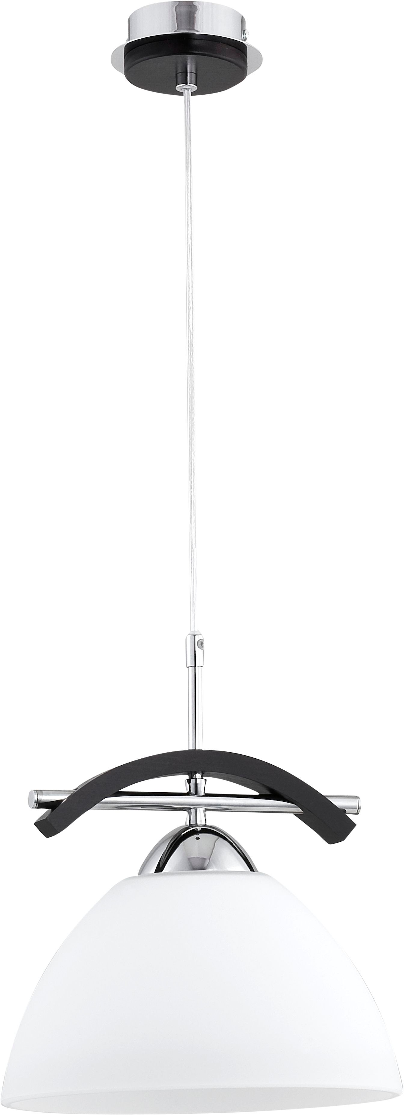 Светильник подвесной Alfa Fuji 15741