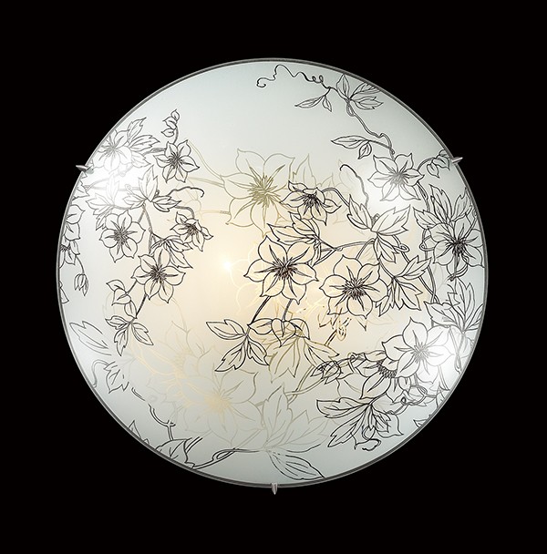 Настенно потолочный светильник Sonex Forti 3211