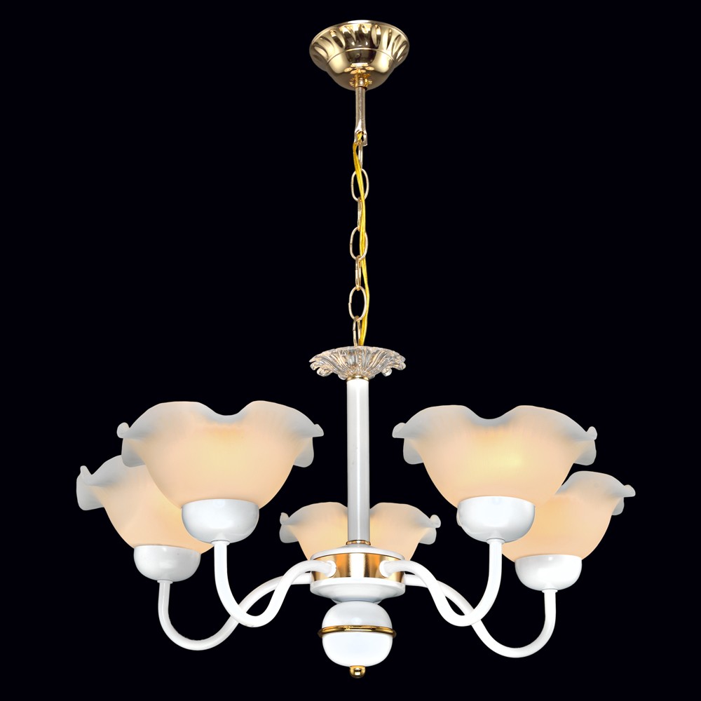 Подвесная люстра Максисвет 2-8569-5-WH+FG E27