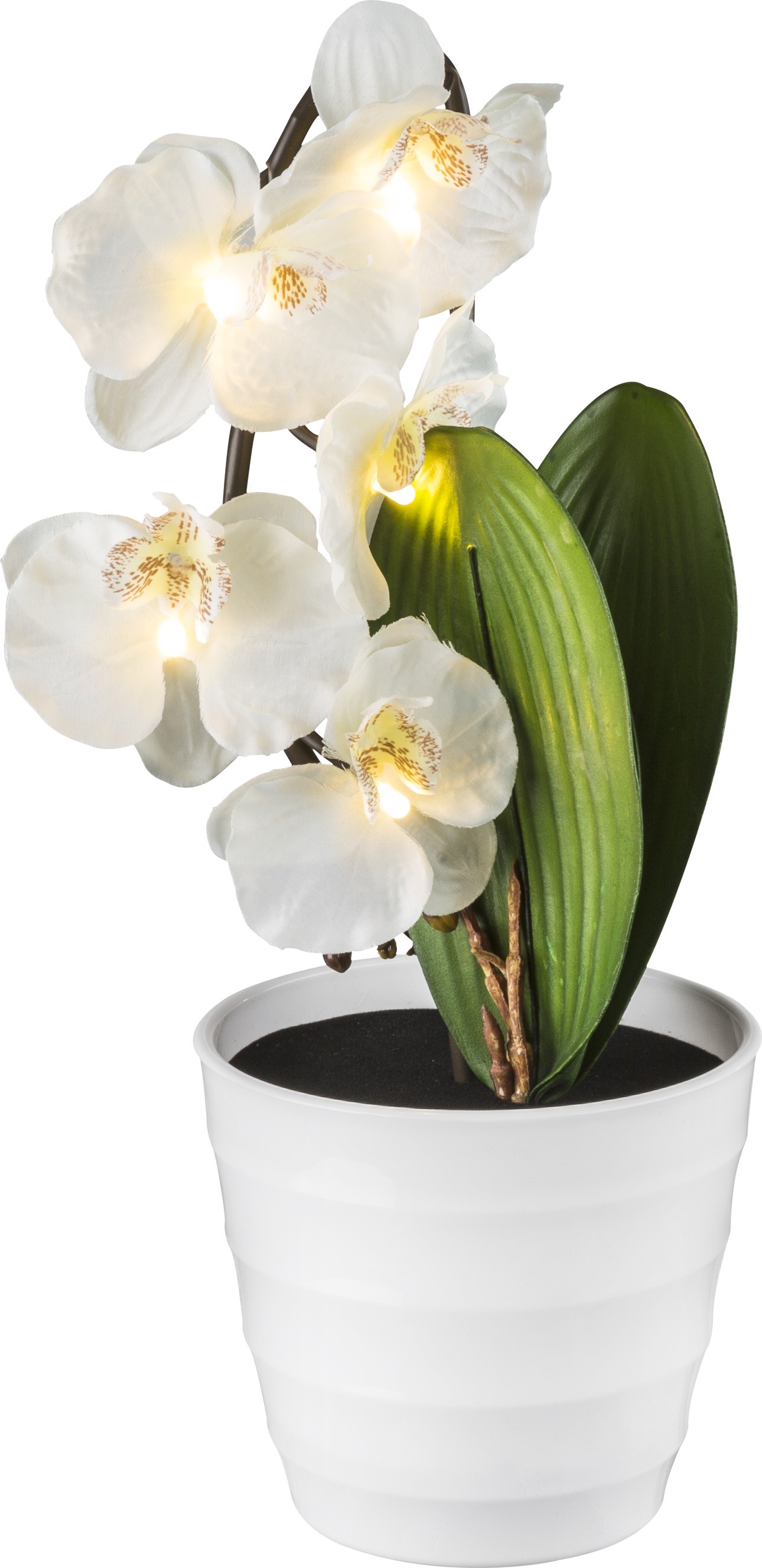 Декоративная лампа Globo Orphelia 28022W