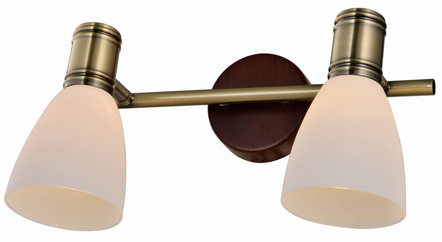 Светильник спот Toplight Sharyl TL3720Y-02BB