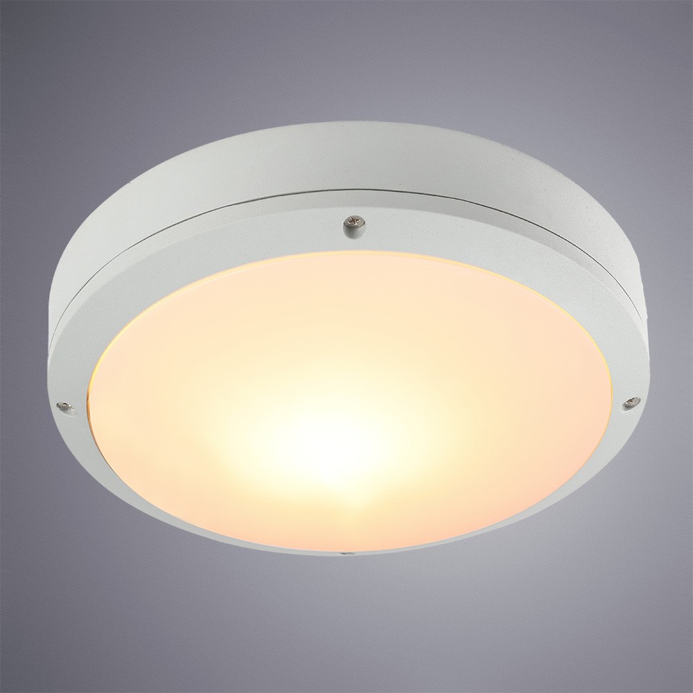 Уличные потолочные Arte Lamp City A8154PF-2WH