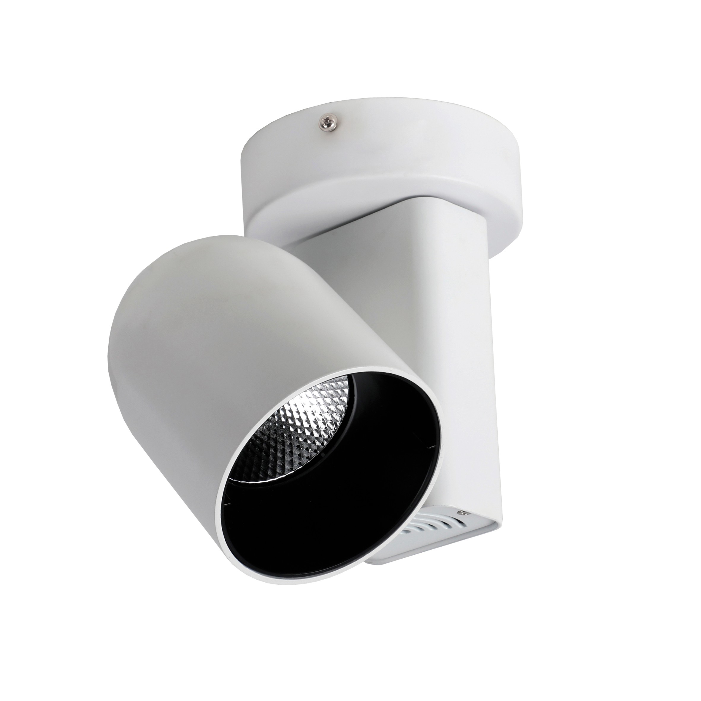 Светильник спот Favourite Projector 1984-1U