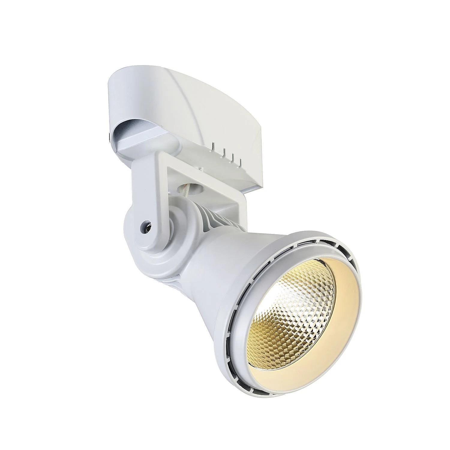 Светильник спот Favourite Projector 1767-1U