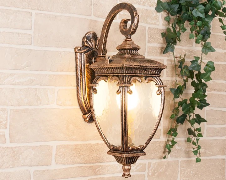 Уличный настенный светильник Elektrostandard Andromeda Andromeda D (GLYF-8024D) черное золото