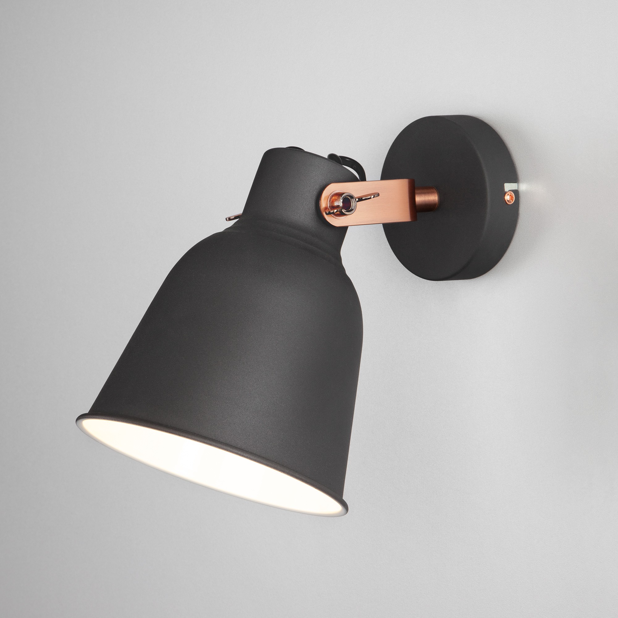 Светильник спот Eurosvet Projector 70079/1 черный