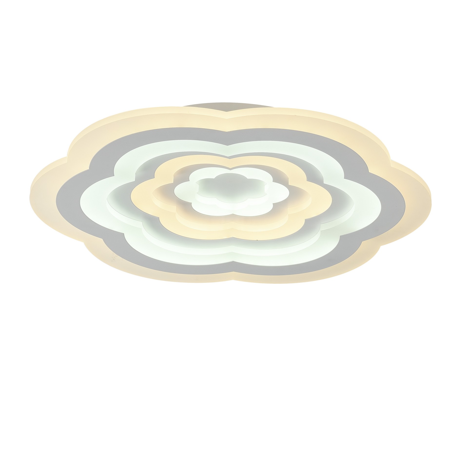 Потолочный светодиодный светильник F-Promo Ledolution 2285-5C