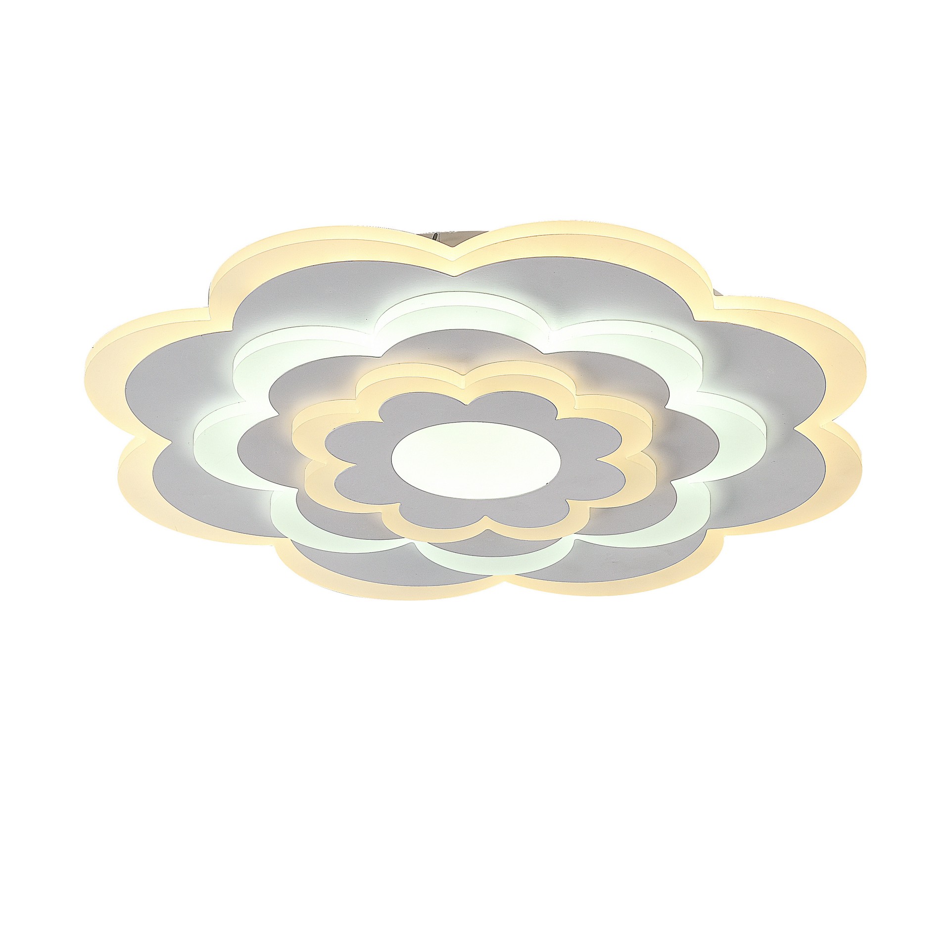 Потолочный светодиодный светильник F-Promo Ledolution 2286-5C