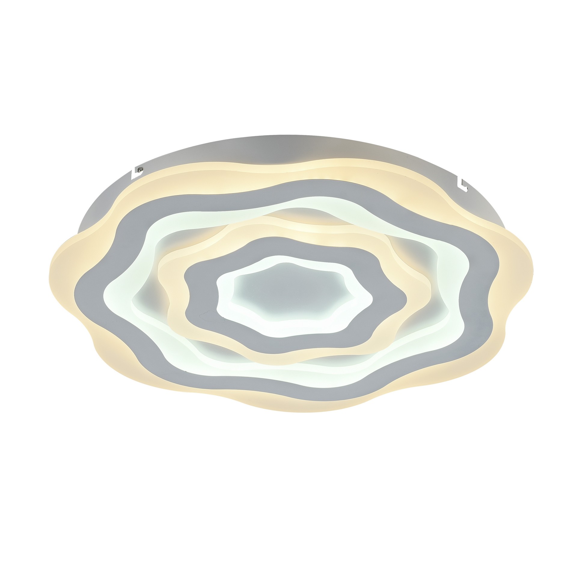 Потолочный светодиодный светильник F-Promo Ledolution 2287-5C