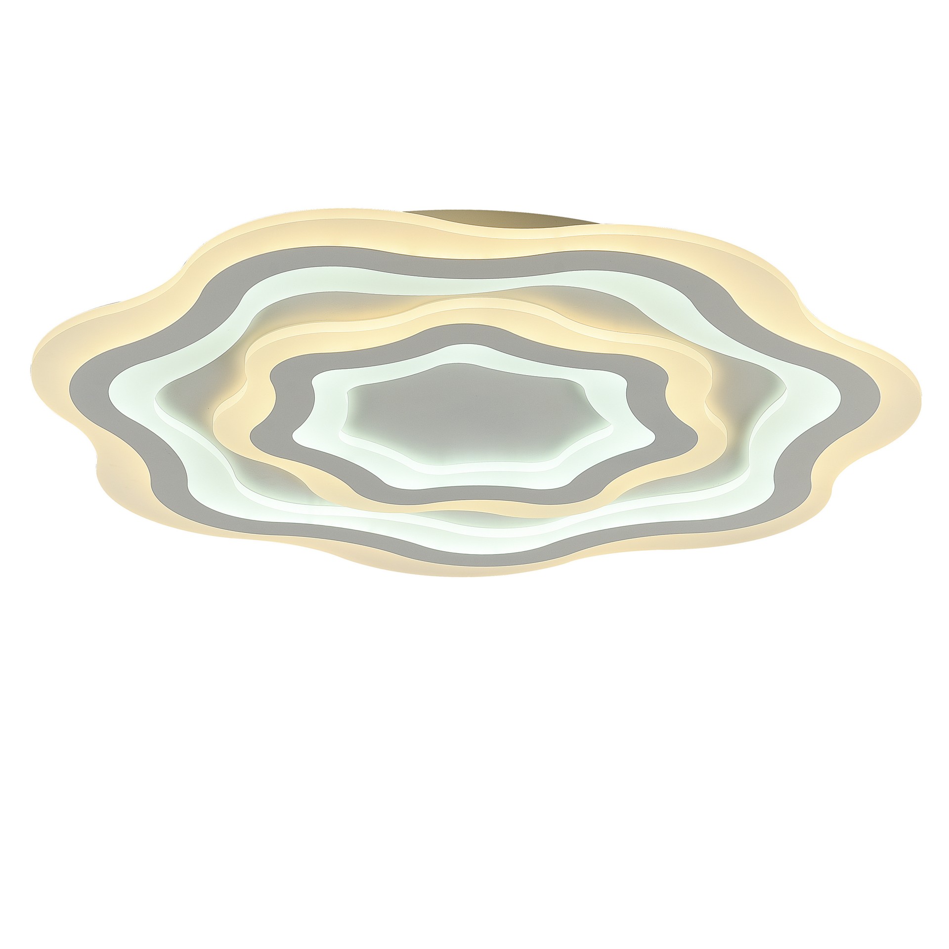 Потолочный LED светильник F-Promo Ledolution 2287-8C