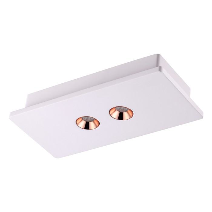 Накладной светильник Novotech Caro 357939