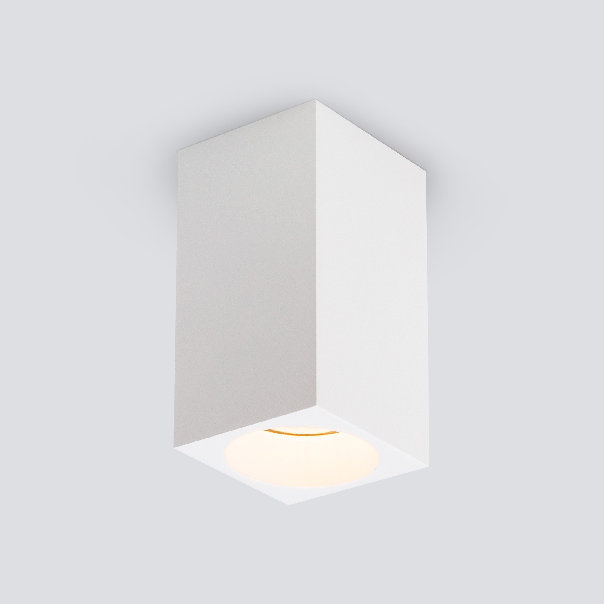 Накладной светильник Elektrostandard 1085 1085 GU10 WH белый матовый