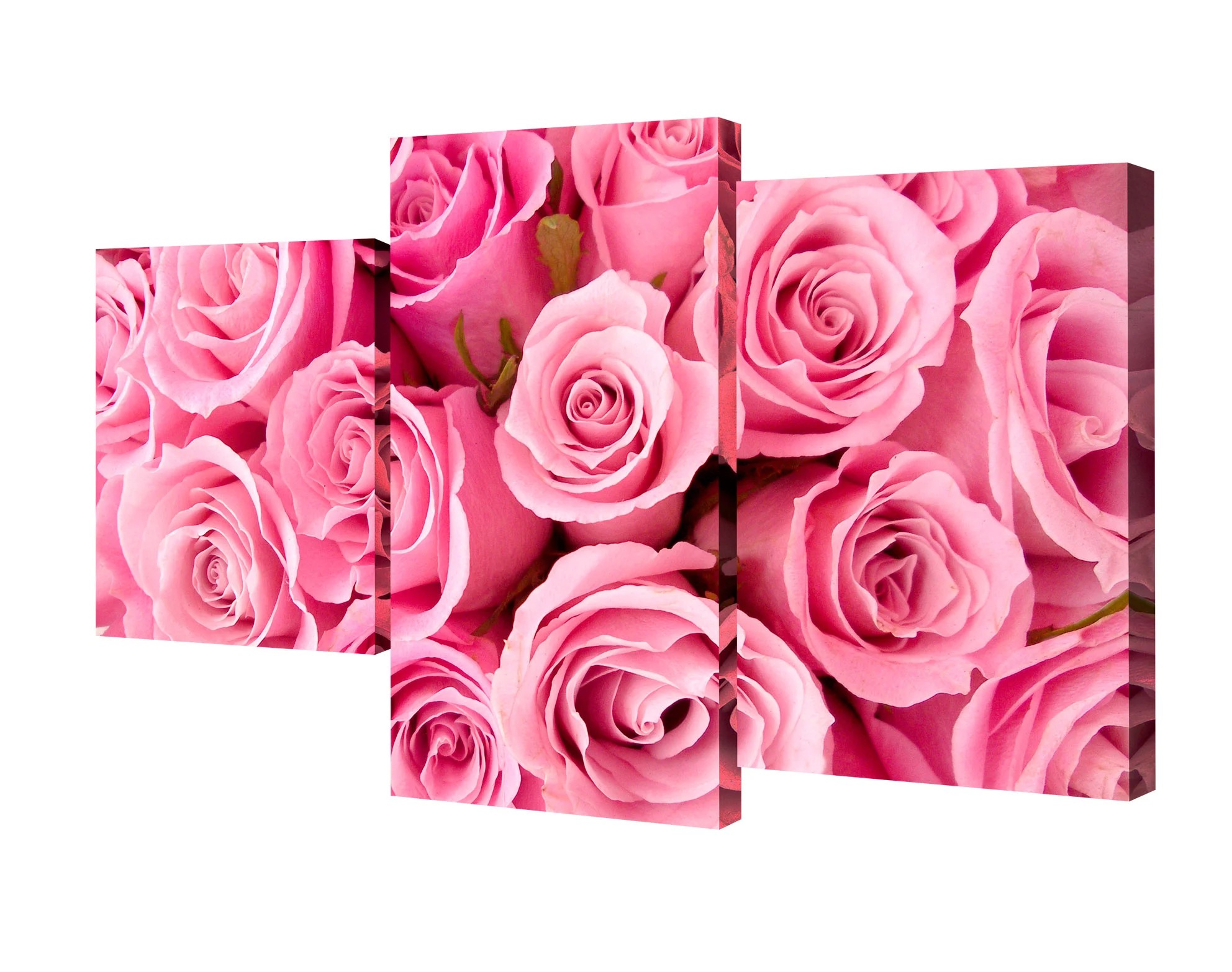 Модульные картины Toplight Цветы TL-MM1056