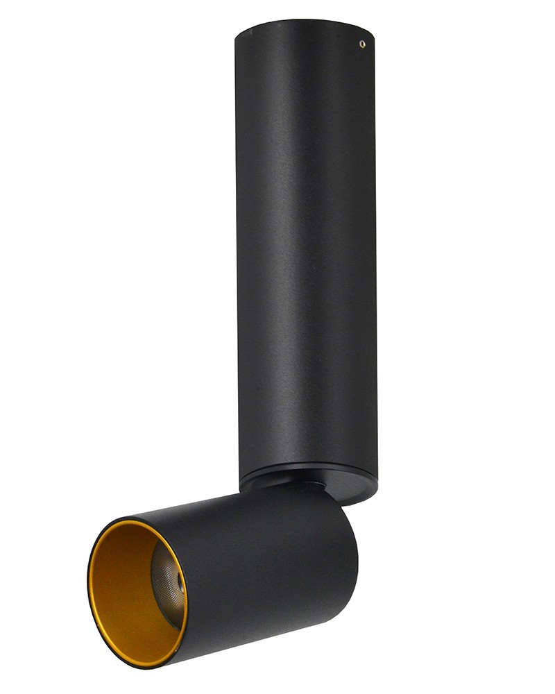 Накладной светильник Lumien Hall Торин 8001/1CM-BK-GD