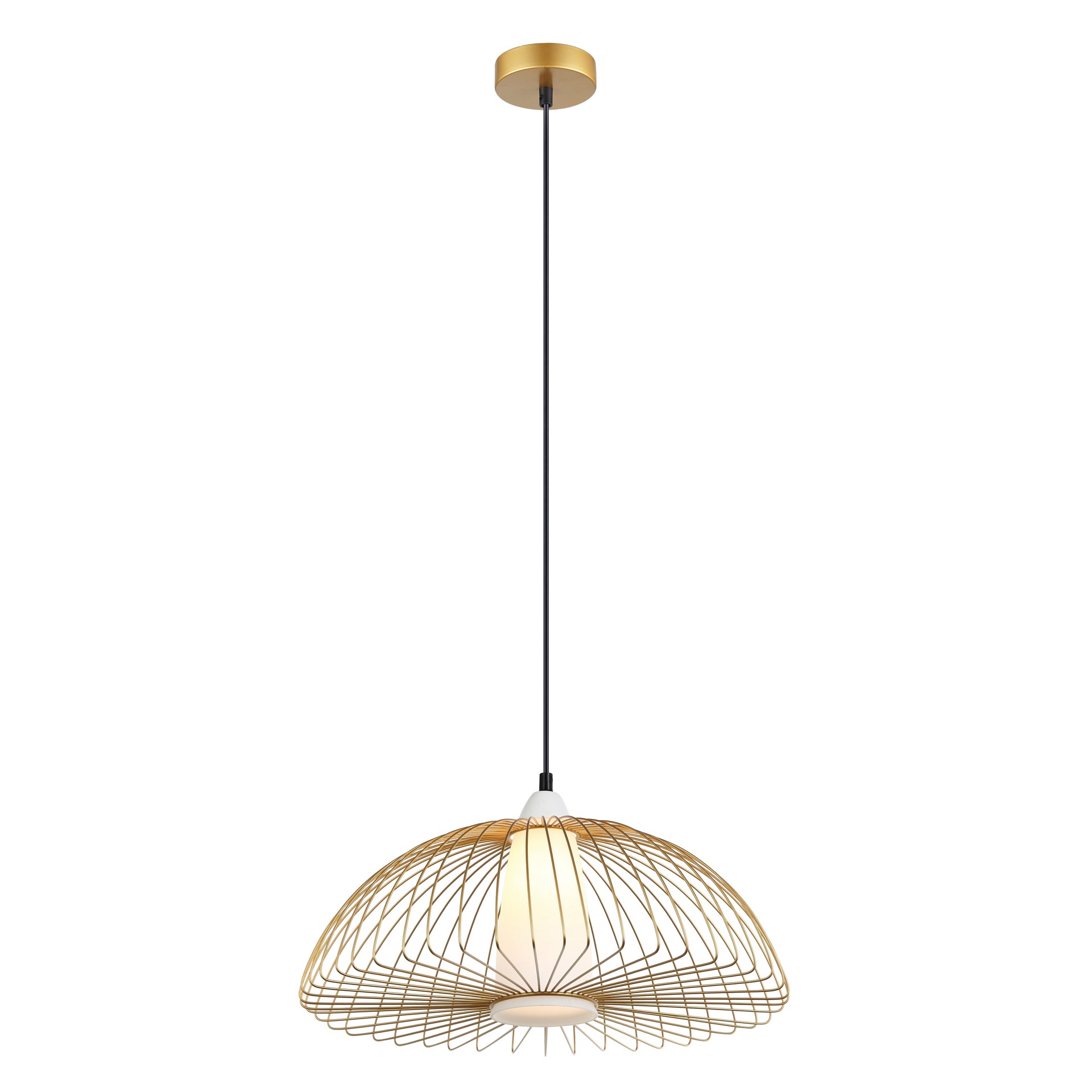 Светильник подвесной Favourite Dimidium 2372-1P