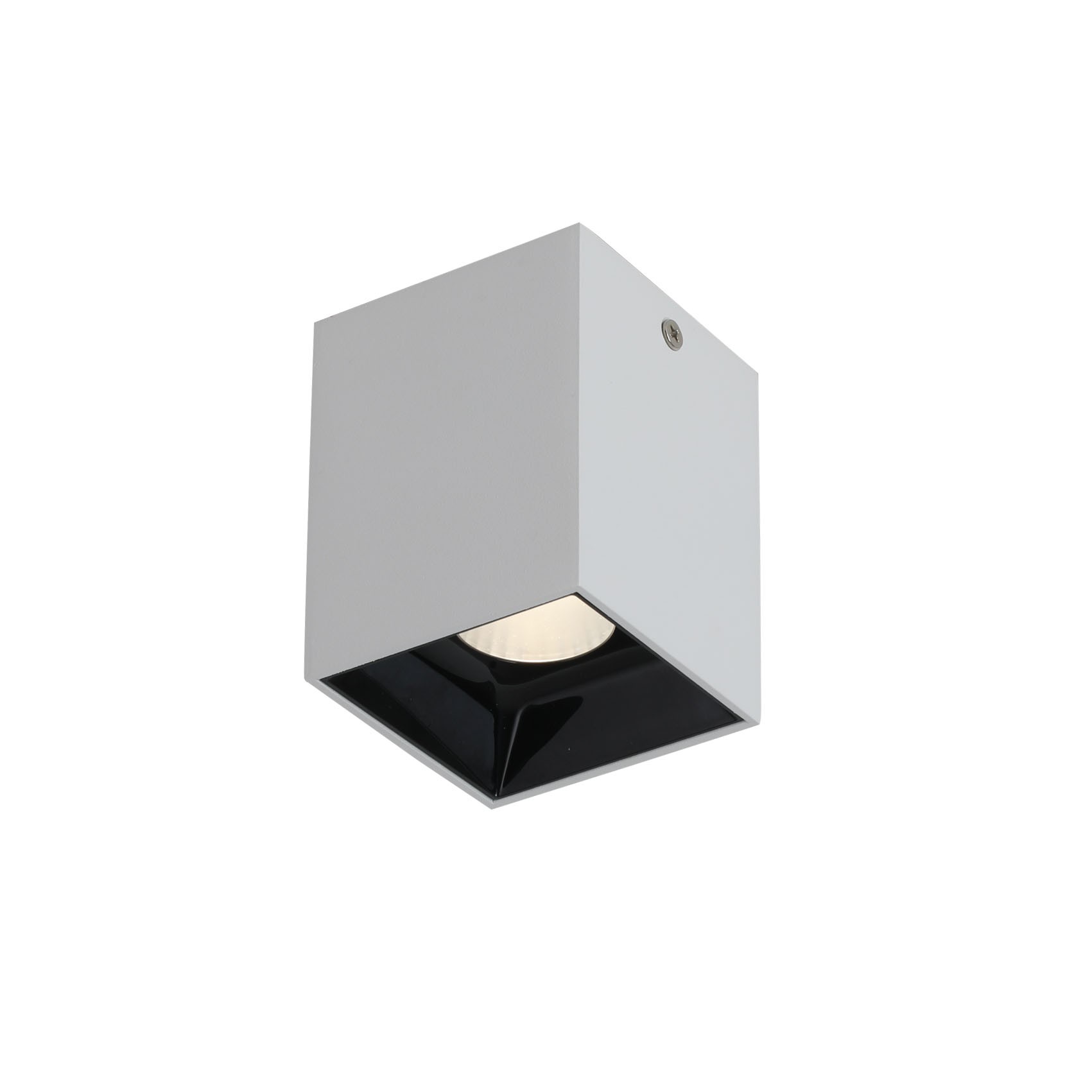 Накладной светильник Favourite Oppositum 2405-1U