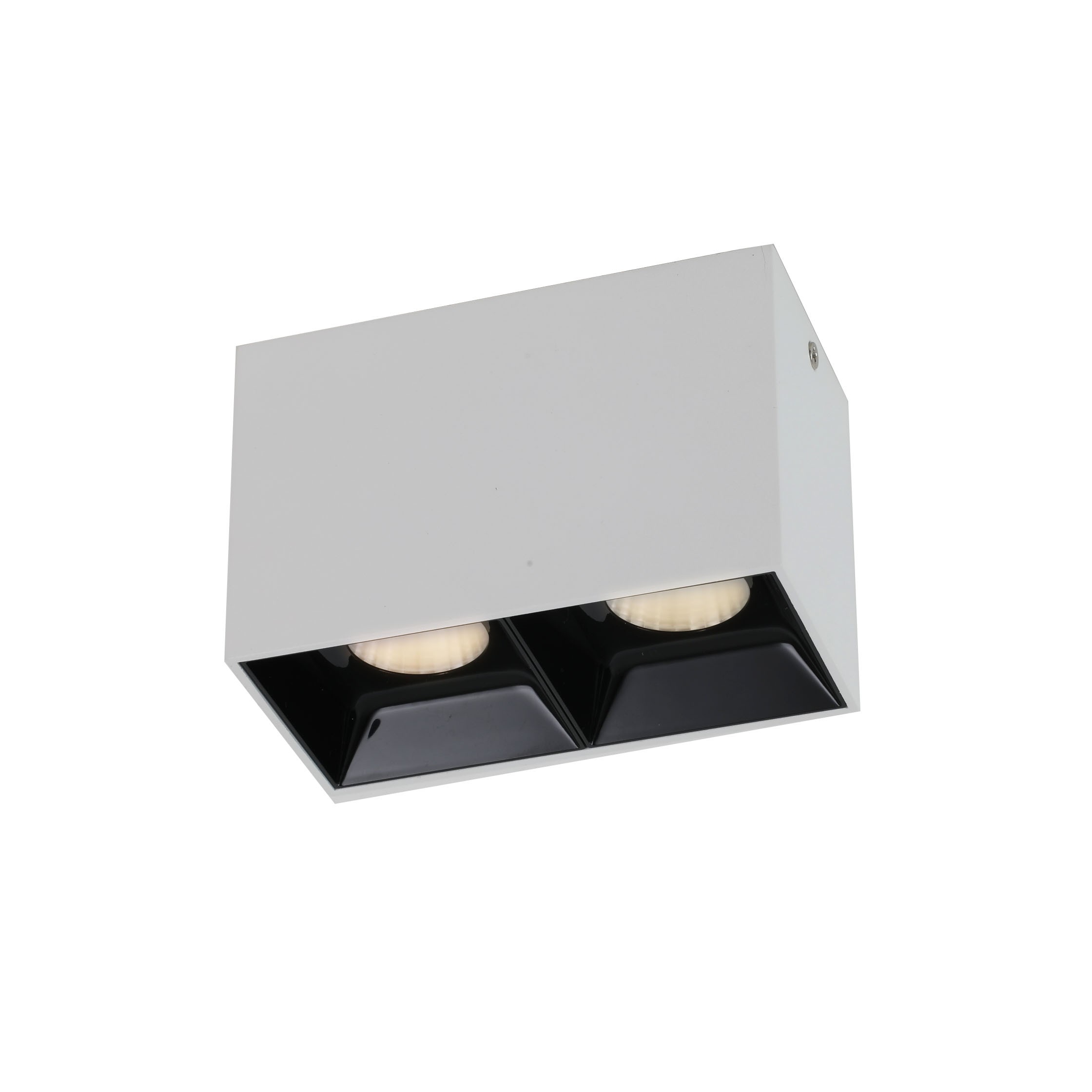 Накладной светильник Favourite Oppositum 2405-2U