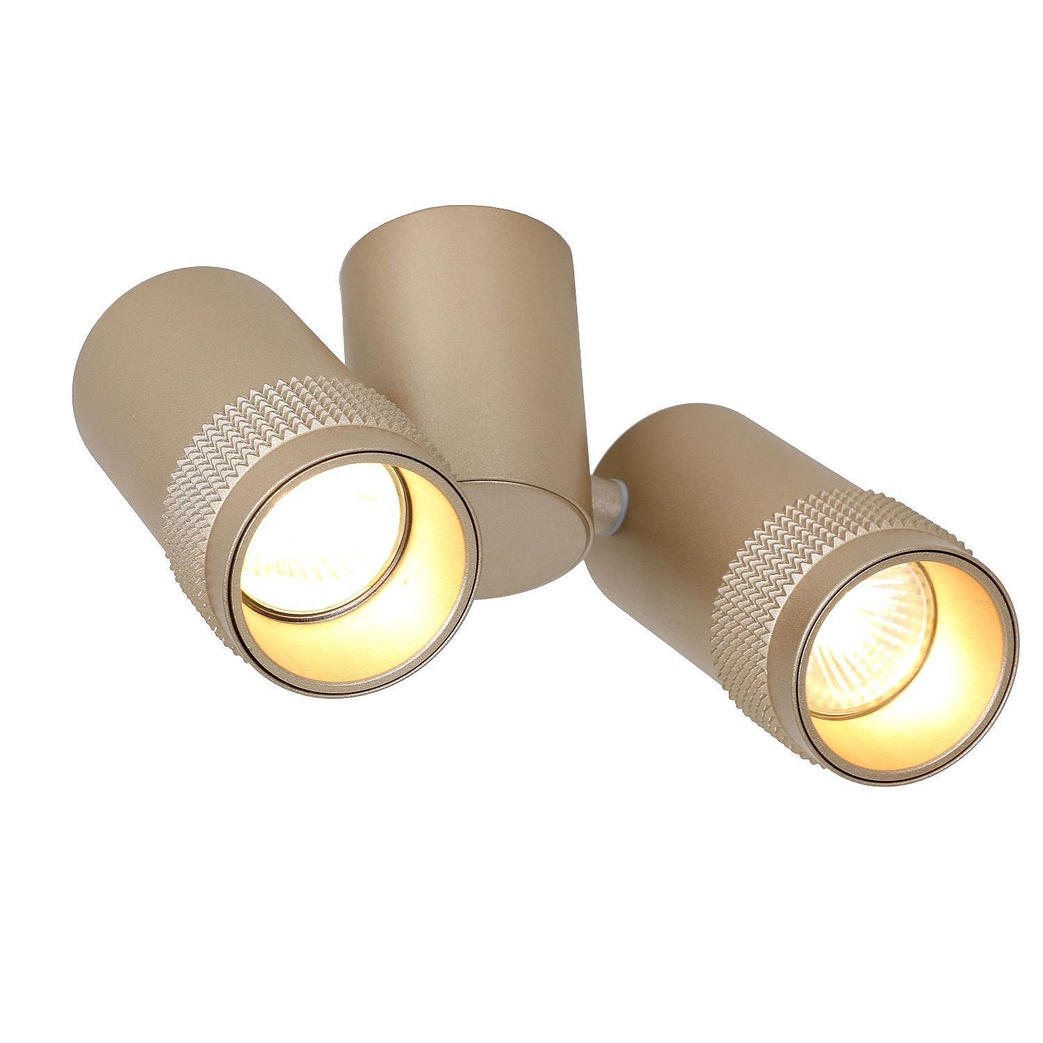 Накладной светильник Favourite Kinescope 2455-2U