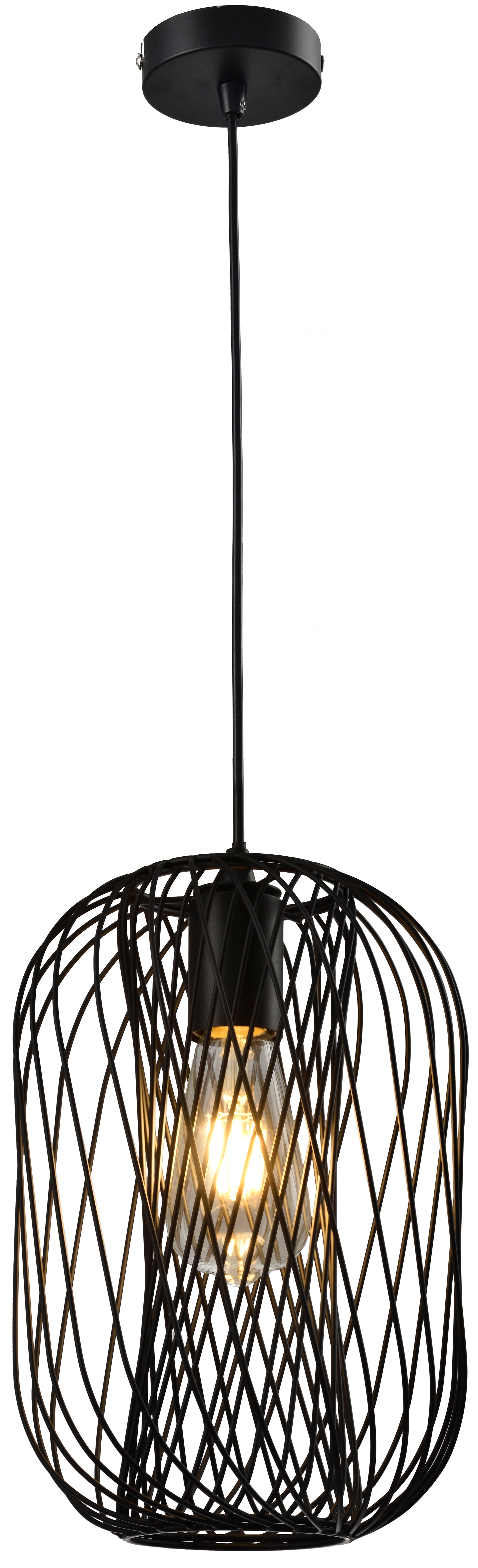 Светильник подвесной Toplight Debra TL1189H-01BK